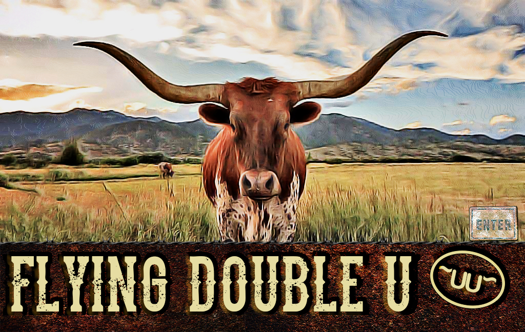 Flying Double U